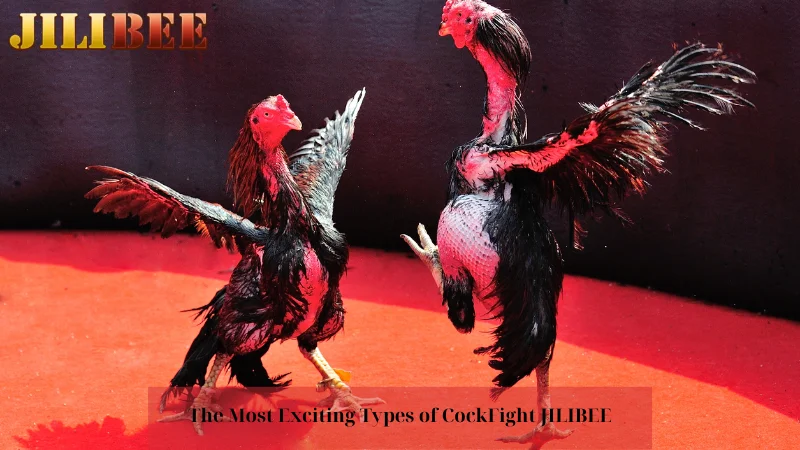 winph5 casino login how to place a bet on the belmont stakes